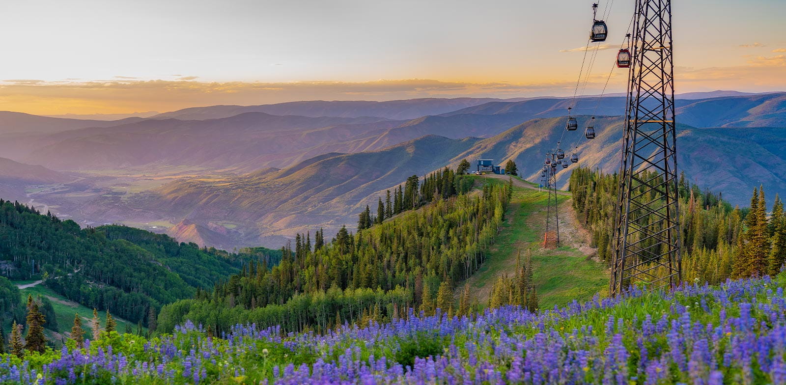 Aspen Mountain Spring