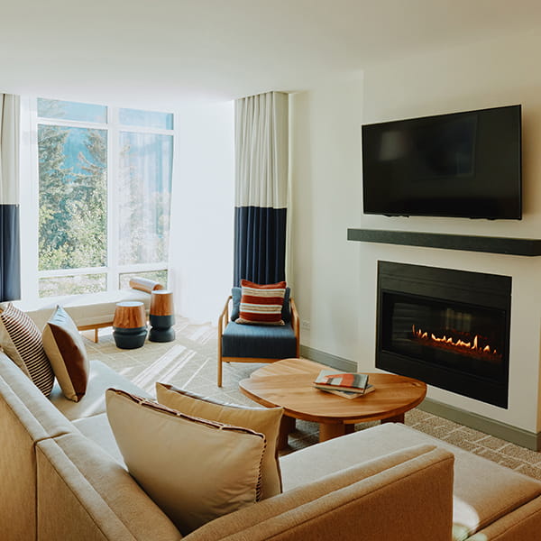 tv and fireplace in living room