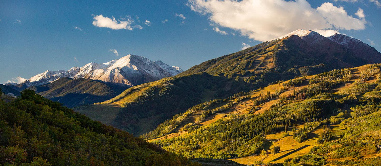 Landscape of Aspen