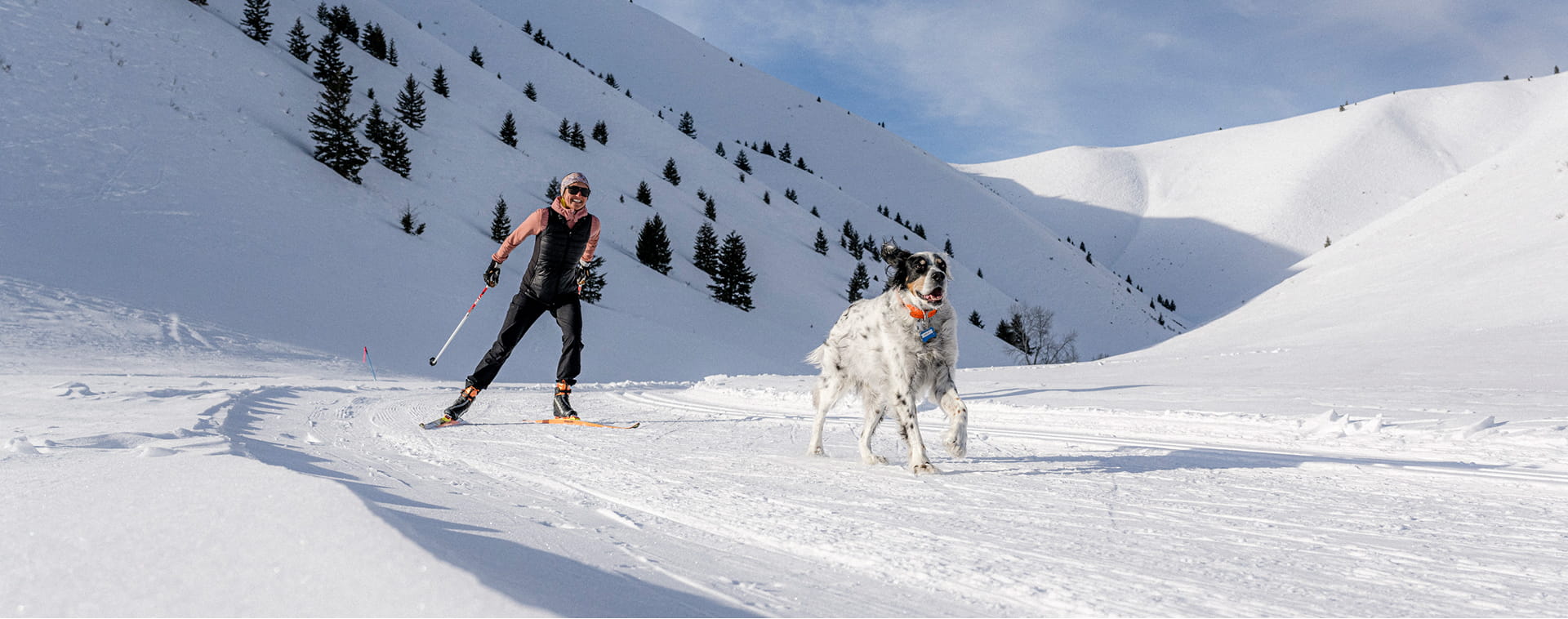 woman and dog cross country skiing