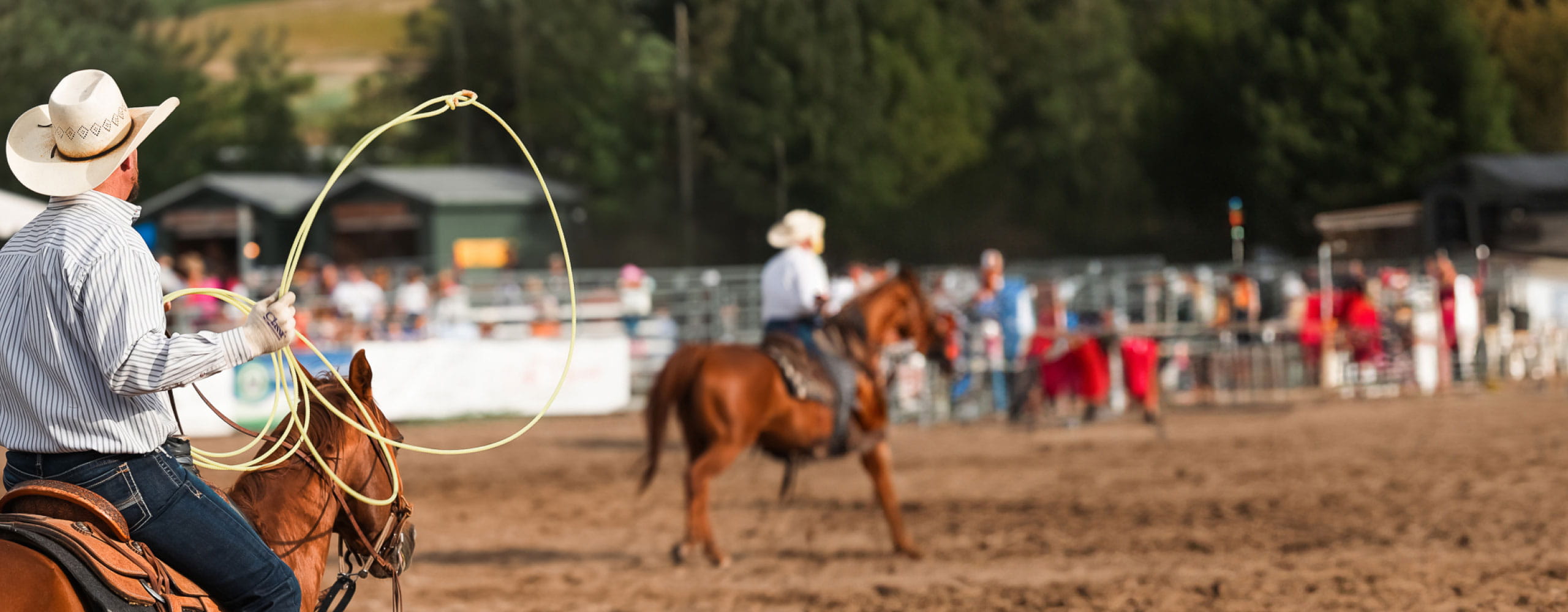 cowboys at the rodeo