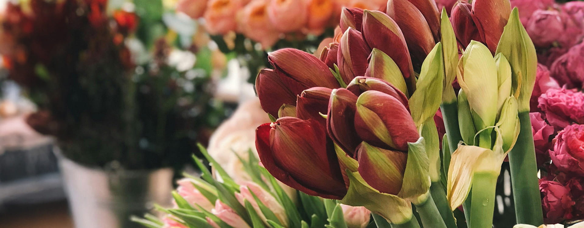 bouquet of bright flowers