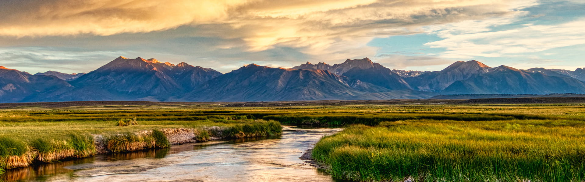 sierra mountains in the summer